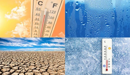 정확한 환경 시뮬레이션